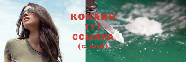 ГАЛЛЮЦИНОГЕННЫЕ ГРИБЫ Арсеньев