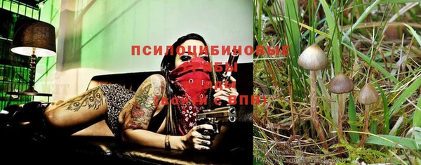 ГАЛЛЮЦИНОГЕННЫЕ ГРИБЫ Арсеньев