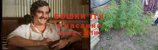 ГАЛЛЮЦИНОГЕННЫЕ ГРИБЫ Арсеньев